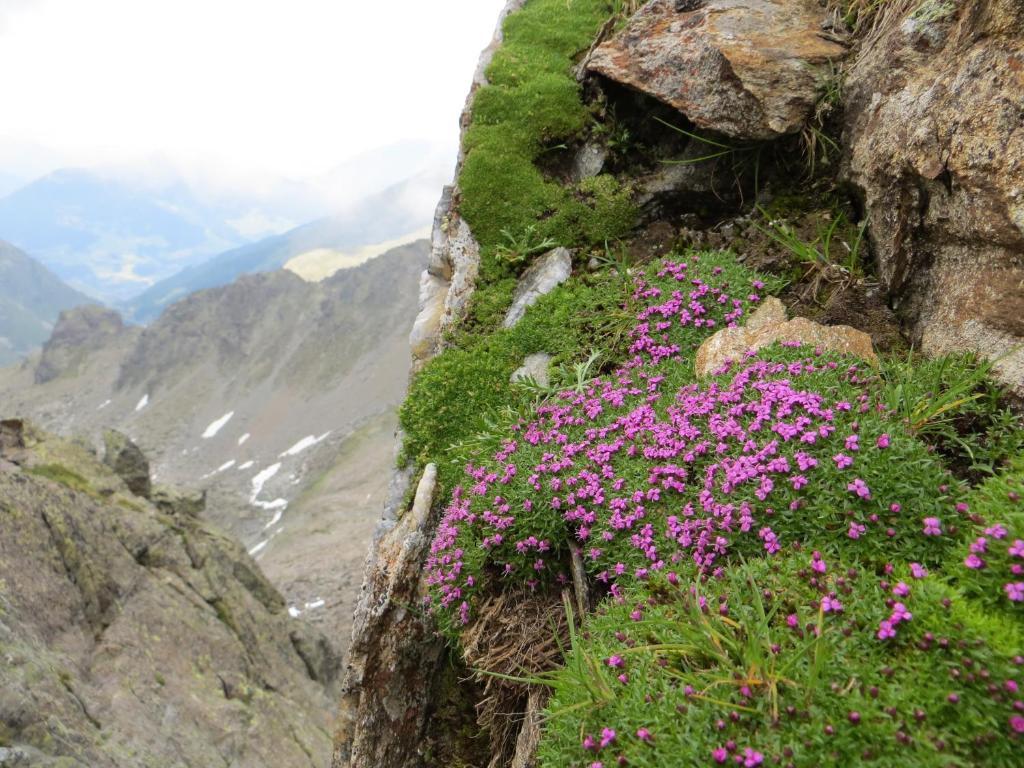 Jennys Schloessl Hotel Serfaus
